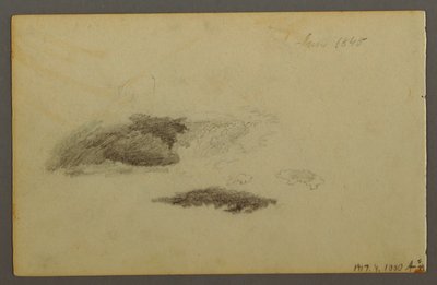 Rajz, korhadt nyírfa, 1844 alkotó: Frederic Edwin Church