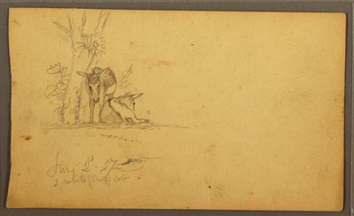 Rajz, szamarak, 1857. június 2. alkotó: Frederic Edwin Church