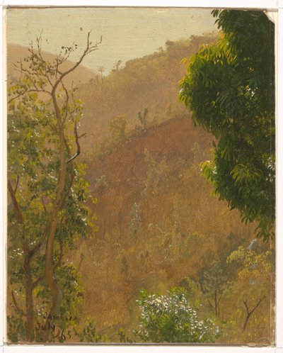 Rajz, tájkép, 1865 július alkotó: Frederic Edwin Church