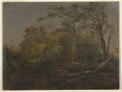 Rajz, Maine Woods, 1845-55 alkotó: Frederic Edwin Church