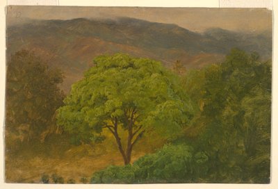 Rajz, hegyvidéki táj, 1865 augusztus alkotó: Frederic Edwin Church