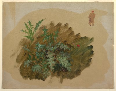 Rajz, Növénytanulmányok, 1865 alkotó: Frederic Edwin Church