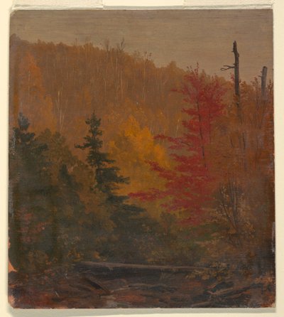Rajz, Valószínűleg Katahdin közelében, 1865-70 őszén, 1865-70 alkotó: Frederic Edwin Church