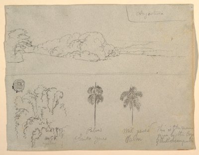 Rajz, vázlatok Kolumbiából:  Kolumbia: Egy folyó vagy öböl partja, és fák., 1853. alkotó: Frederic Edwin Church