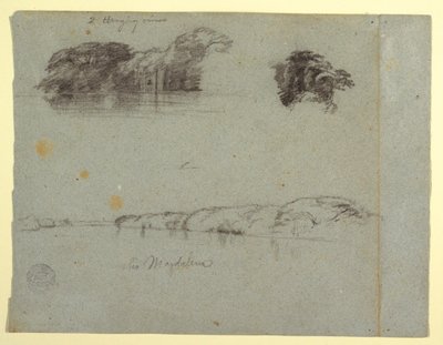 Rajz, Fák, szőlők és a Rio Magdalena folyó partjának vázlatai, Kolumbia, 1853, valószínűleg május alkotó: Frederic Edwin Church