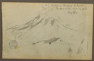 Rajz, Napfelkelte a Chimborazo-hegyen és három részlet a fűről, 1853. szeptember alkotó: Frederic Edwin Church