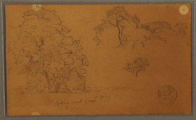 Rajz, Fák, 1857 alkotó: Frederic Edwin Church