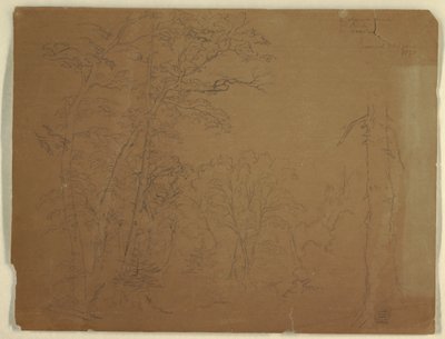 Rajz, Fák, Grand Manan-sziget, Kanada, 1851 alkotó: Frederic Edwin Church