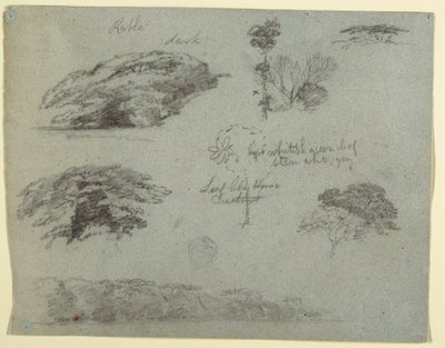 Rajz, Fák, facsúcsok és egy erdős part, Saddleback, Maine, 1853 alkotó: Frederic Edwin Church