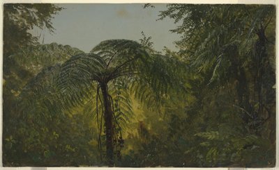 Rajz, Trópusi táj, 1865 június vagy július alkotó: Frederic Edwin Church