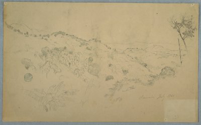 Rajz, erdős völgy nagy páfrányfenyővel és távoli hegyvonulatokkal, Jamaica, 1865. július alkotó: Frederic Edwin Church
