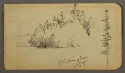 Rajz, Erdős part, fatanulmány, 1878 alkotó: Frederic Edwin Church