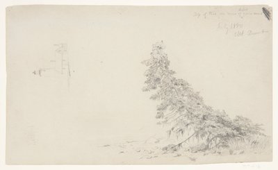 Örökzöld fa a part közelében a világítótorony és egy ház részletével, Mount Desert, Maine alkotó: Frederic Edwin Church
