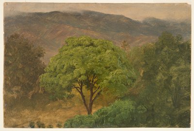 Genip Tree a hegyekben, Jamaica alkotó: Frederic Edwin Church