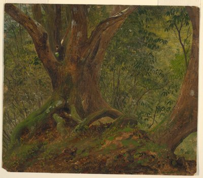 Az erdőben, Jamaicán alkotó: Frederic Edwin Church