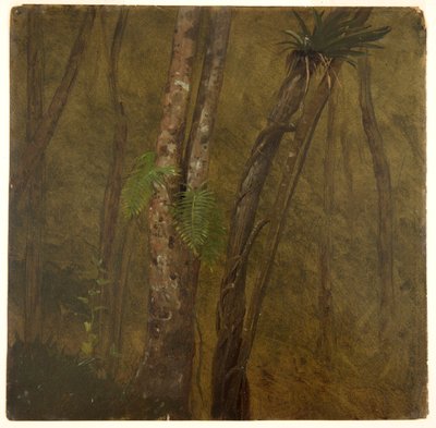 Táj Jamaicában alkotó: Frederic Edwin Church