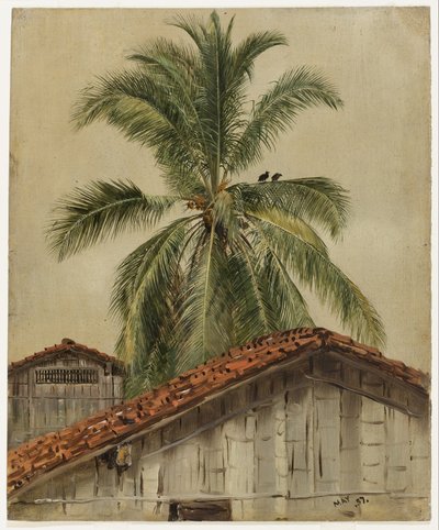 Pálmafák és háztetők, Ecuador alkotó: Frederic Edwin Church