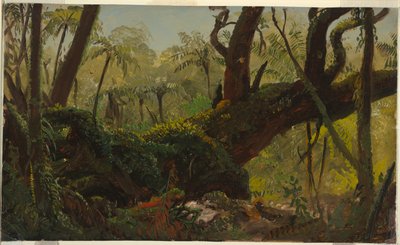 Esőerdő, Jamaica alkotó: Frederic Edwin Church