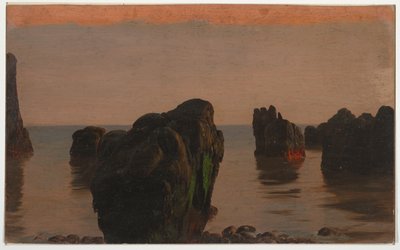Sziklák és moha Grand Mananról alkotó: Frederic Edwin Church