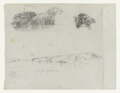 Fák, szőlők és a Rio Magdalena partjának vázlatai, Kolumbia alkotó: Frederic Edwin Church