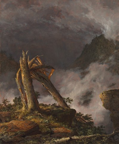 Vihar a hegyekben alkotó: Frederic Edwin Church