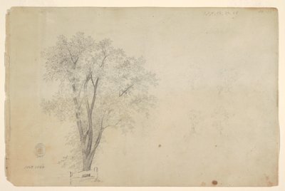 fák alkotó: Frederic Edwin Church