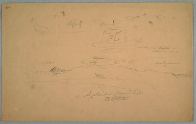 Kilátás Ecuadorra: Lámák legelnek és felhős holdvilágú égbolt a hegyvonulat mögött emelkedő El Oltárral alkotó: Frederic Edwin Church