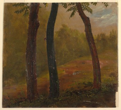 Woodland Scene, Jamaica alkotó: Frederic Edwin Church