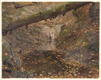 Woodland Stream, esetleg Mt. Desert, Maine alkotó: Frederic Edwin Church