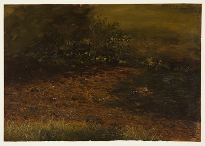 Erdei patak a Catskills-ben alkotó: Frederic Edwin Church