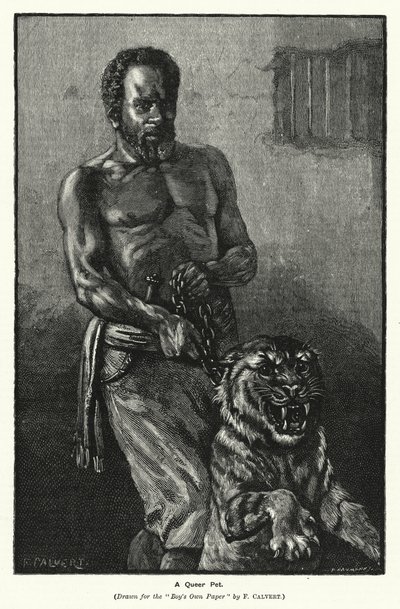 Egy furcsa kisállat (metszet) alkotó: Frederick (after) Calvert