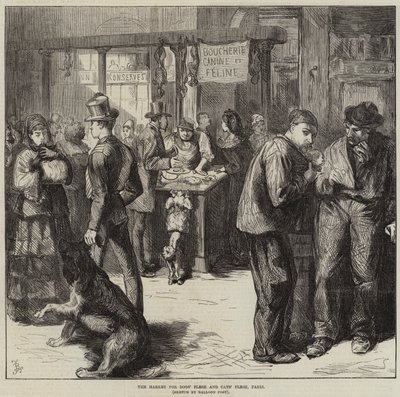 A kutyahús és a macskahús piaca, Párizs alkotó: Frederick Barnard