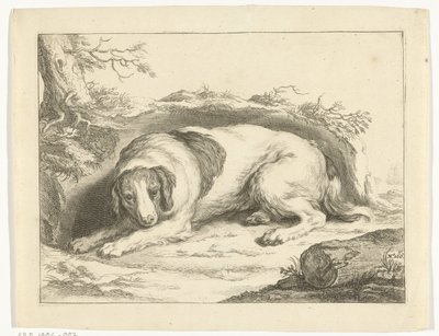 spániel Abraham Bloemaert rajzkönyve (sorozat címe) alkotó: Frederick Bloemaert
