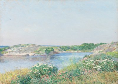 A kis tavacska, Appledore, 1890. alkotó: Frederick Childe Hassam