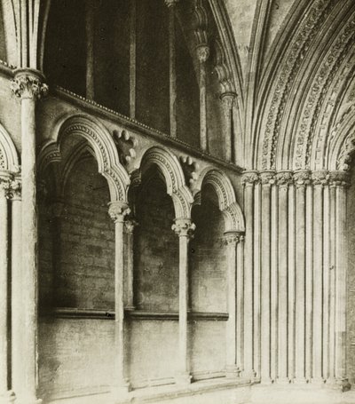 Ely székesegyház: Galileai tornác, részletek alkotó: Frederick H. Evans