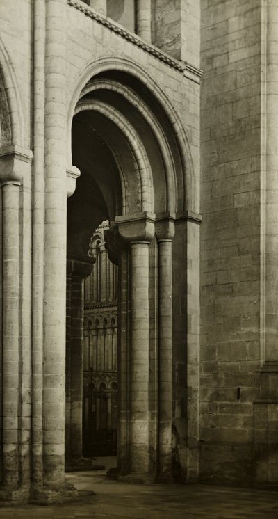 Ely székesegyház: hajó, délnyugati sarok alkotó: Frederick H. Evans