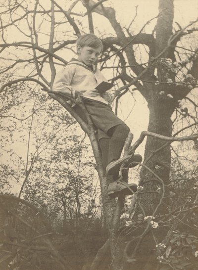 [Evan Evans] alkotó: Frederick H. Evans