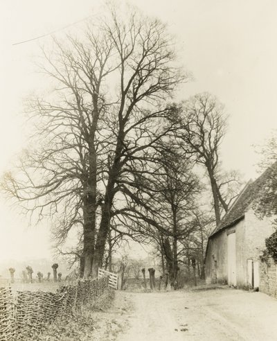 Kelmscott Manor: Kelmcott Kelmancott: út és bejárat alkotó: Frederick H. Evans