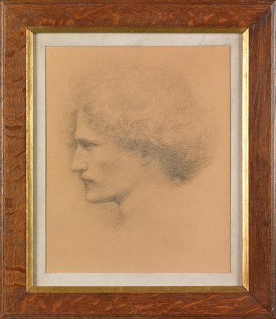 Ignacy Jan Paderewski (platinotípus) alkotó: Frederick Hollyer