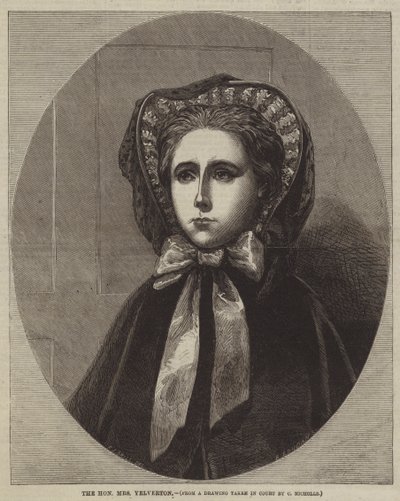 A tisztelt Yelverton asszony alkotó: Frederick John Skill