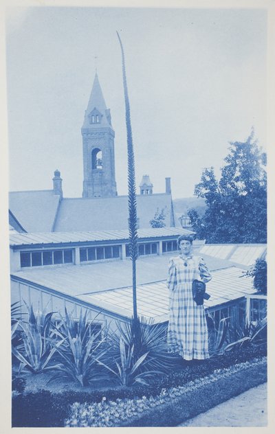 Cím nélkül, 19. század vége – 20. század eleje (cianotípia krémszínű szőtt papíron) alkotó: Frederick K. Coulson