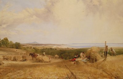 Az aratási mező, 1846 alkotó: Frederick Richard Lee