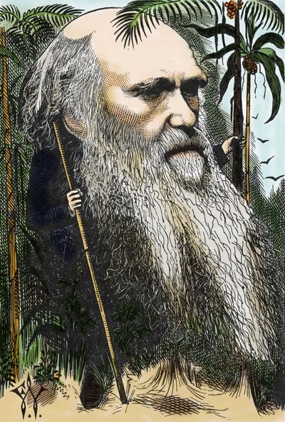 Charles DARWIN (1809-1882) karikatúrája F. Waddy-ról az 1873-as „” in Once A Week című filmben. alkotó: Frederick Waddy
