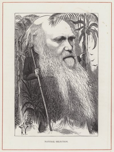 Charles Darwin, Természetes kiválasztás alkotó: Frederick Waddy