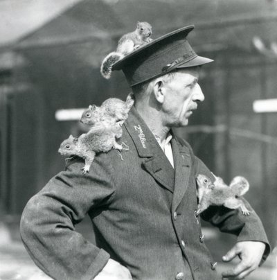 Egy másodosztályú állattartó négy fiatal szürke mókussal, akik egyenruhájára és kabátjára másznak, Londoni Állatkert alkotó: Frederick William Bond