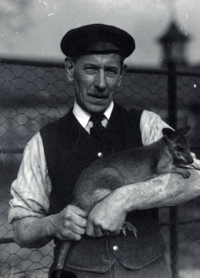 Egy állattartó falkabát tart, 1920. október (f/w fotó) alkotó: Frederick William Bond