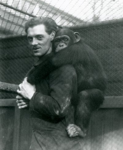 Egy férfi a hátán hordja Sally csimpánzt, Londoni Állatkert, 1924 alkotó: Frederick William Bond