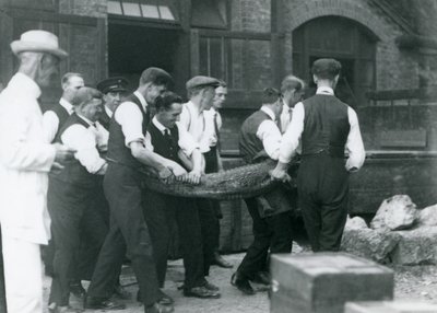Egy csapat férfi aligátort cipel, akit Sir Peter Chalmers Mitchell vigyázott a Londoni Állatkertben, 1924 alkotó: Frederick William Bond