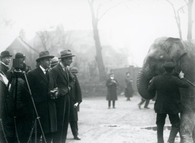 Egy indiai elefánt, valószínűleg Sundermalah, részt vesz egy külső adásban a Londoni Állatkertből, 1925 alkotó: Frederick William Bond