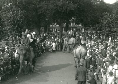 Elephant Rides, három ázsiai elefánttal, akiket bámészkodók tömegei figyeltek a londoni állatkertben 1926 augusztusában (f/w fotó) alkotó: Frederick William Bond